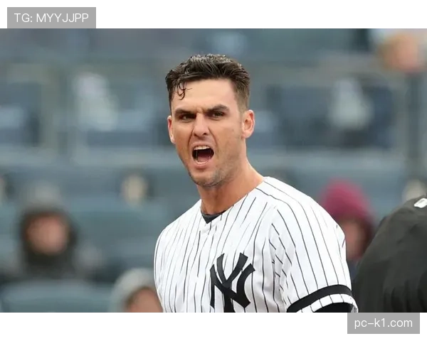 教士队与酿酒人队因降雨裁定比赛,教士队5-2获胜